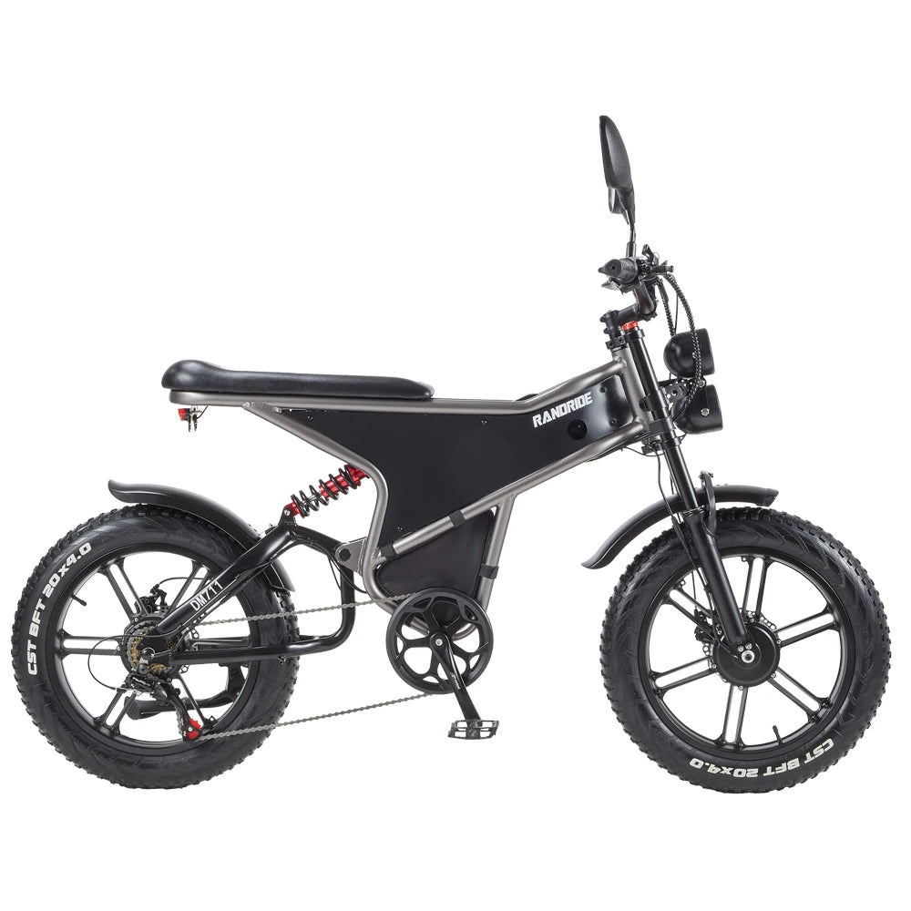 RANDRIDE DM711 1000W * 2 Dual Motor Removable Battery 20AH shinado 7 Speed 20 "* 4.0 Fat fire bike