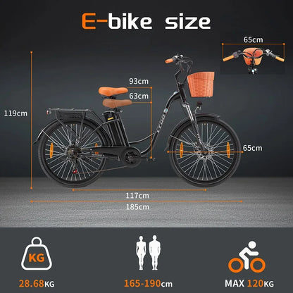 TTGO YY-26ST Electric Bike, 250W Motor, 36V 14.5AH Battery, 26*1.95-inch Tires, 25km/h Max Speed, 100km Max Range, Disc Brake
