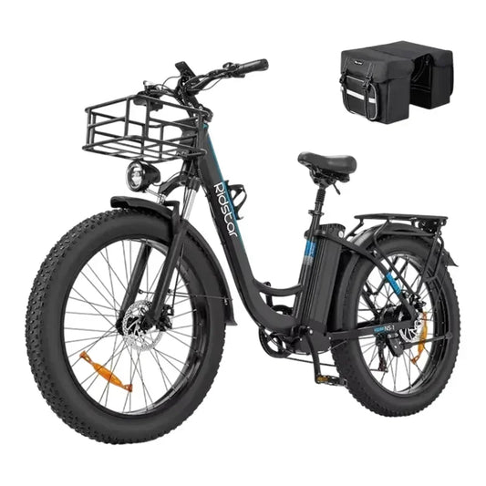 Ridstar MN26 E Bike  Powerful Electric Motor 48V20AH Battery Adult Electric Bicycle 26*4.0-in Fat Tire Snow Electric Bike