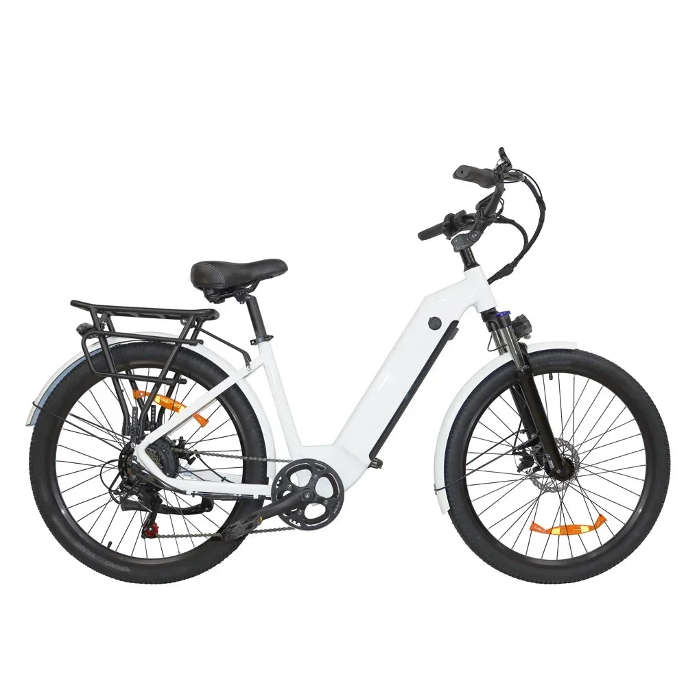 BAOLUJIE DS2608 Adult Electric Bike Dual Motor Electric Bike 48V12AH Battery 26 Inch Tire All Terrain Electric Bike