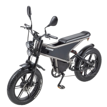 RANDRIDE DM711 1000W * 2 Dual Motor  Removable Battery 20AH shinado 7 Speed 20 "* 4.0 Fat fire bike