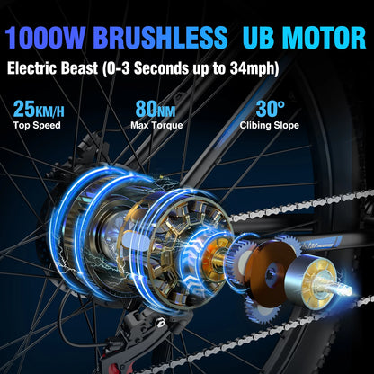 Ridstar S29 PRO Electric Bicycle 1000W Powerful Motor 48V21AH Lithium Battery  E-bike 29*2.1 Inch All-terrain Tire Electric Bike