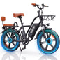 Ridstar FM-001 Electric Bicycle 1000W 48V 15AH Road City Ebike Adult 20 inch Fat Tire Beach Mountain Rear Seat Bicycle