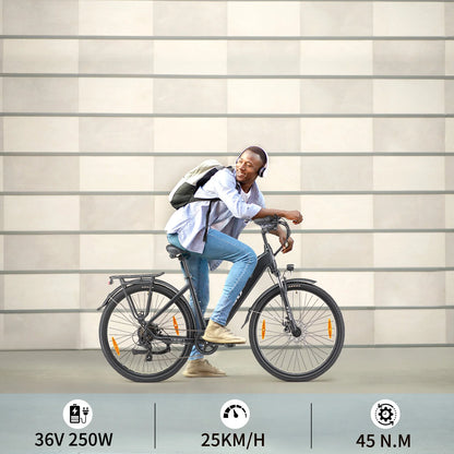TTGO HZ-28ST Electric Bicycle,28'' 250W Motor 36V20Ah Battery 25km/h 100km Max Range Electric Bike,Disc Brake Mountain Fat Ebike
