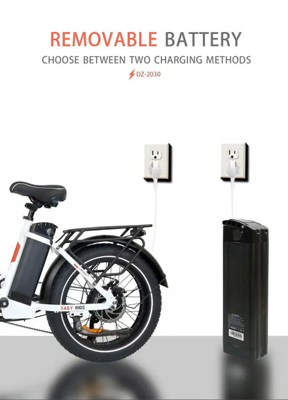 BAOLUJIE DZ2030 48V 16AH Removable Battery Dual Disc Brake 7 Speed Foldable Adult Camping 20 Inch Electric Bike Off-Road