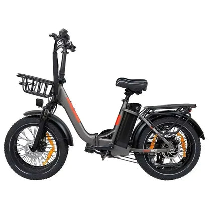 BAOLUJIE DZ2030 48V 16AH Removable Battery Dual Disc Brake 7 Speed Foldable Adult Camping 20 Inch Electric Bike Off-Road