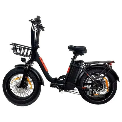 BAOLUJIE DZ2030 48V 16AH Removable Battery Dual Disc Brake 7 Speed Foldable Adult Camping 20 Inch Electric Bike Off-Road