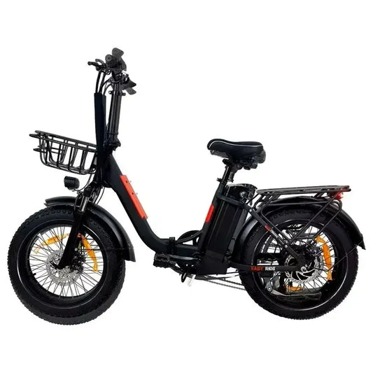 BAOLUJIE DZ2030 48V 16AH Removable Battery Dual Disc Brake 7 Speed Foldable Adult Camping 20 Inch Electric Bike Off-Road