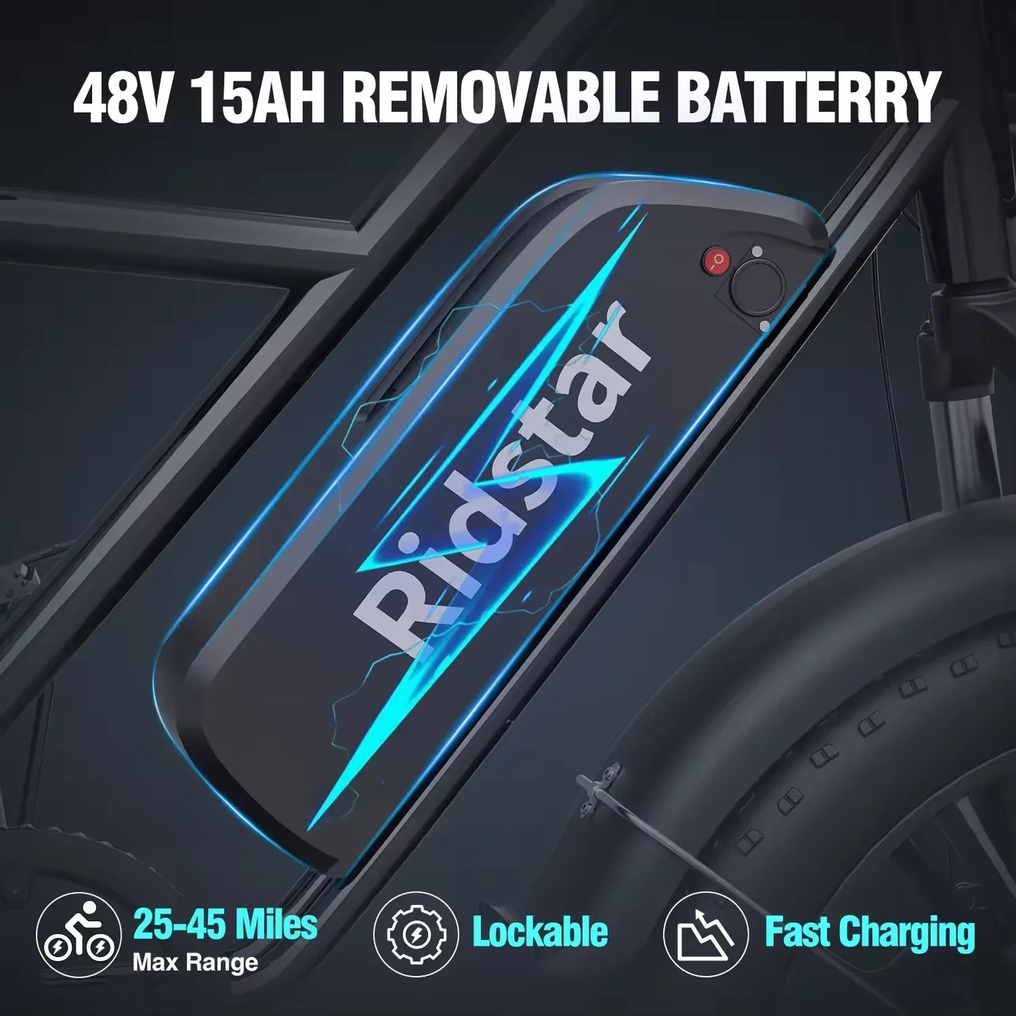 Ridstar FM-001 Electric Bicycle 1000W 48V 15AH Road City Ebike Adult 20 inch Fat Tire Beach Mountain Rear Seat Bicycle