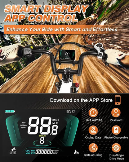 Wallke H7 Electric Bicycle 1200W/2000W Dual Motor Electric Bike 40Ah/60Ah Step Thru Ebike 20*4'' Fat Tire Ebike W/APP Control