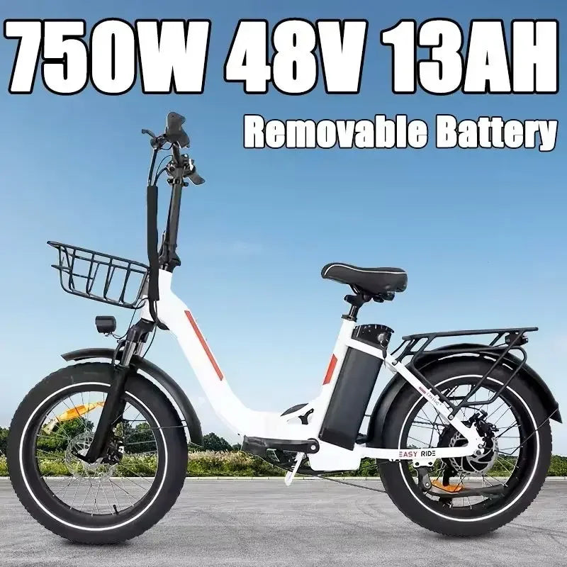 BAOLUJIE DZ2030 48V 16AH Removable Battery Dual Disc Brake 7 Speed Foldable Adult Camping 20 Inch Electric Bike Off-Road