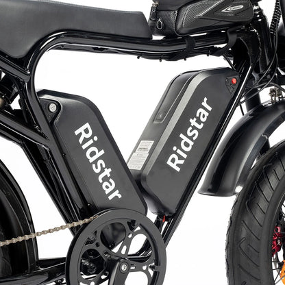 Ridstar Q20 Pro Off-road Electric Bike 2*1000W 52V 20AH Dual Battery 55km/h Max Speed 288km Max Range Dual Hydraulic Disc Brake