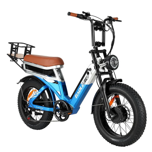 Baolujie DP2033 Electric Bicycle Big Power Dual Motor 20 Inch Adult Electric Bicycle 48V30AH Battery City Electric Bicycle