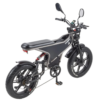 RANDRIDE DM711 1000W * 2 Dual Motor  Removable Battery 20AH shinado 7 Speed 20 "* 4.0 Fat fire bike