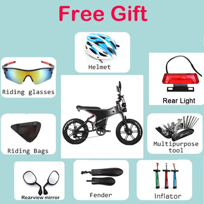 RANDRIDE DM711 1000W * 2 Dual Motor  Removable Battery 20AH shinado 7 Speed 20 "* 4.0 Fat fire bike