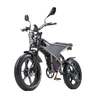 RANDRIDE DM711 1000W * 2 Dual Motor  Removable Battery 20AH shinado 7 Speed 20 "* 4.0 Fat fire bike