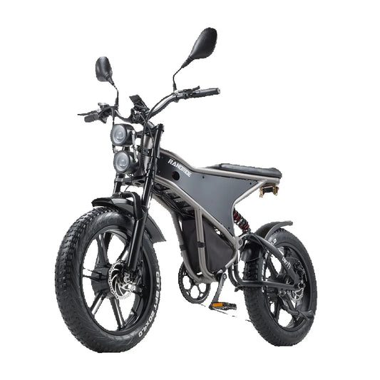 RANDRIDE DM711 1000W * 2 Dual Motor  Removable Battery 20AH shinado 7 Speed 20 "* 4.0 Fat fire bike