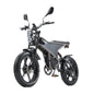 RANDRIDE DM711 1000W * 2 Dual Motor  Removable Battery 20AH shinado 7 Speed 20 "* 4.0 Fat fire bike