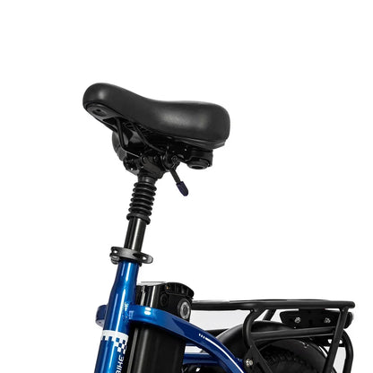 RIDSTAR MN20 Electric Bike 48V15AH Battery Electric Bicycle with Rear Seat Luggage Rack 20*4-inch Fat Tire Off-road E Bike