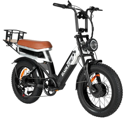 Baolujie DP2033 Electric Bicycle Big Power Dual Motor 20 Inch Adult Electric Bicycle 48V30AH Battery City Electric Bicycle
