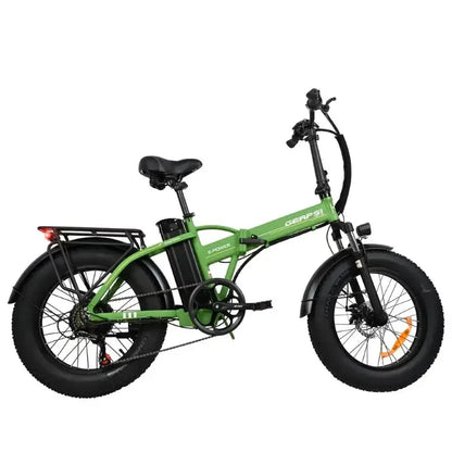 baolujie DZ2002 electric folding bicycle mountain bike 20 inches 48V 16AH outdoor electric bicycle