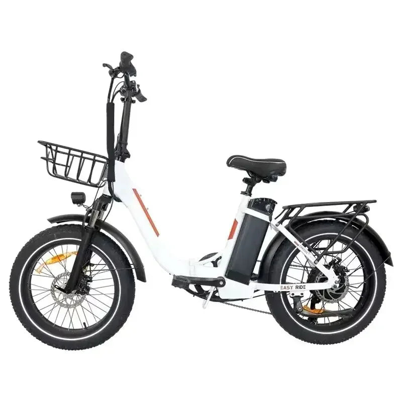 BAOLUJIE DZ2030 48V 16AH Removable Battery Dual Disc Brake 7 Speed Foldable Adult Camping 20 Inch Electric Bike Off-Road