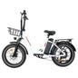 BAOLUJIE DZ2030 48V 16AH Removable Battery Dual Disc Brake 7 Speed Foldable Adult Camping 20 Inch Electric Bike Off-Road