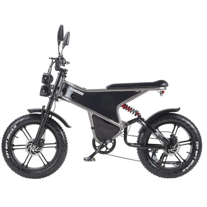 RANDRIDE DM711 1000W * 2 Dual Motor  Removable Battery 20AH shinado 7 Speed 20 "* 4.0 Fat fire bike