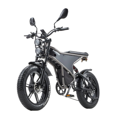 RANDRIDE DM711 1000W * 2 Dual Motor  Removable Battery 20AH shinado 7 Speed 20 "* 4.0 Fat fire bike
