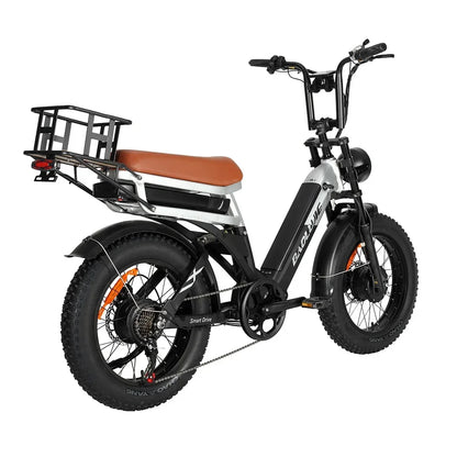 Baolujie DP2033 Electric Bicycle Big Power Dual Motor 20 Inch Adult Electric Bicycle 48V30AH Battery City Electric Bicycle